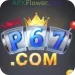 P67 Game logo
