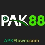 PAK88 Game logo